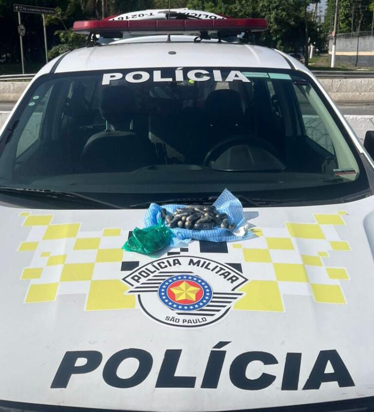 TRÁFICO DE DROGAS NA MARGINAL TIETÊ (OPERAÇÃO FIM DA LINHA)