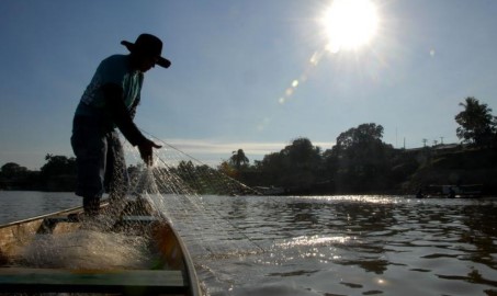 Período de defeso da Piracema termina em 1º de março nas bacias do Paraná e Atlântico Sudeste