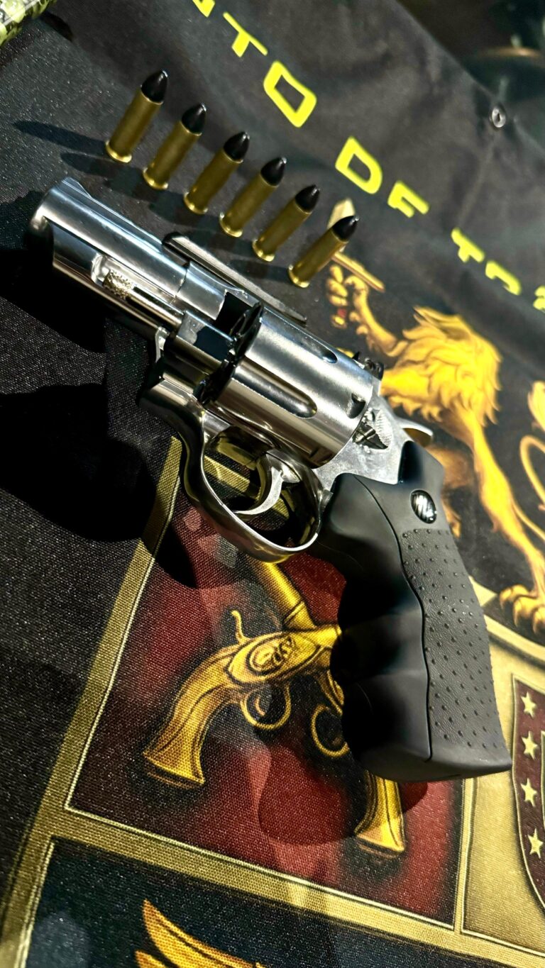 OCORRÊNCIA: PORTE ILEGAL DE ARMA DE FOGO