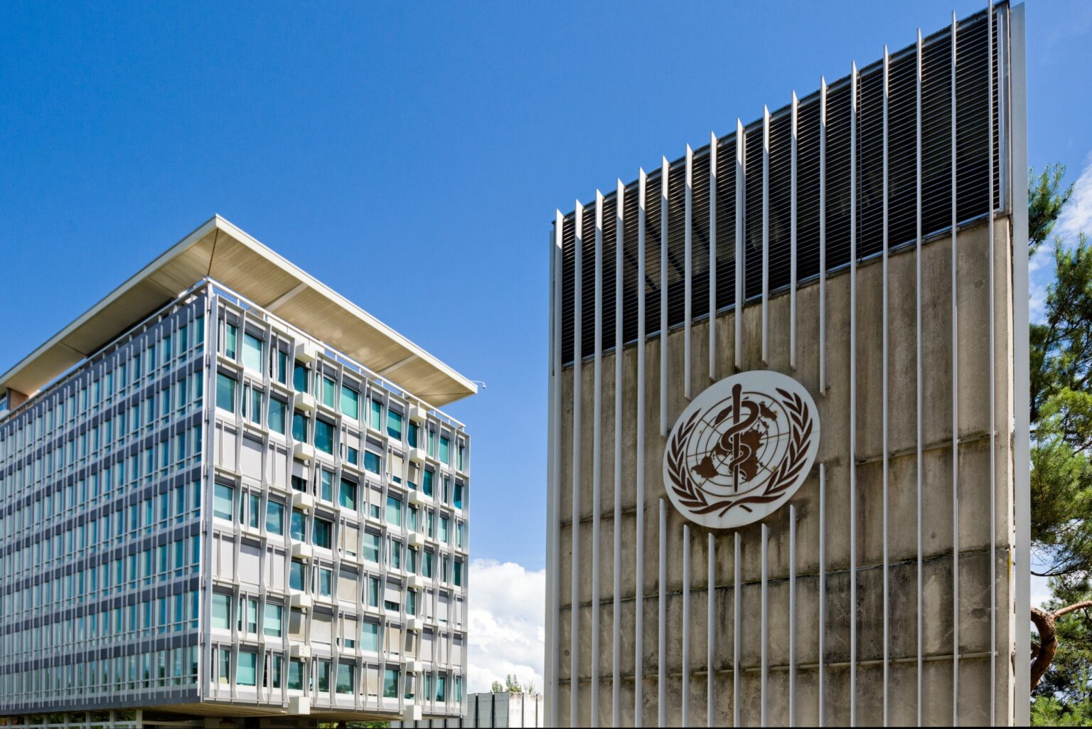 OMS alerta para nova variante da Mpox sem eficácia em antiviral