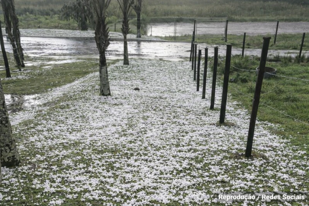 Temporal atinge litoral e interior de SP e provoca impactos em diferentes regiões