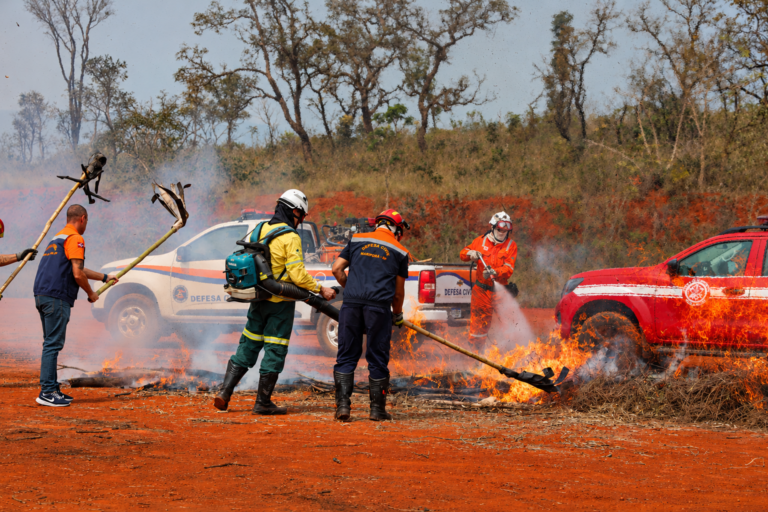 Defesa Civil lança Operação SP Sem Fogo em Ribeirão Preto para prevenção de queimadas