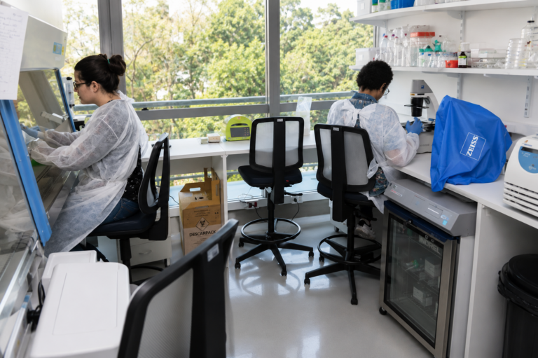 Projeto da USP usará inteligência artificial para mapear risco de dengue em São Paulo