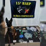 Cão policial ajuda...