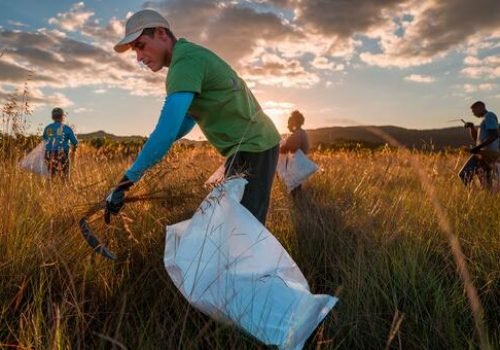 © Pnuma/Todd Brown
                          No Cerrado brasileiro, os esforços de restauração incluem regeneração natural, semeadura direta e sistemas agroflorestais com espécies nativas.