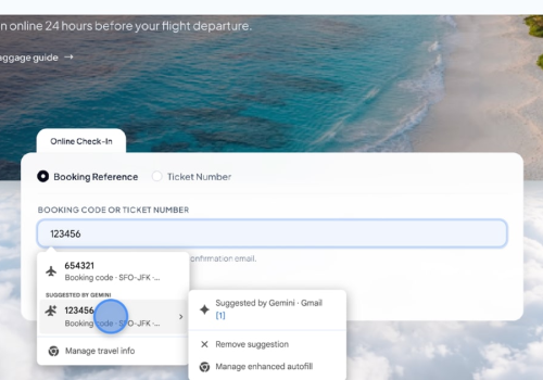 A função agiliza o preenchimento de formulários na web. Foto:  Google/Divulgação