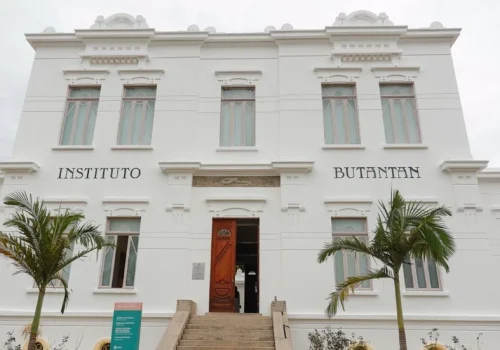 Instituto Butantan celebra mulheres cientistas durante a Semana Nacional de Ciência e Tecnologia