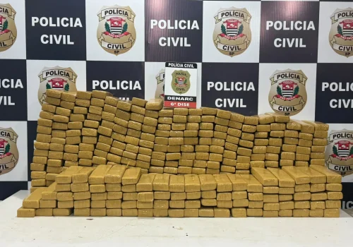 Irmãos são presos com mais de 350 kg de maconha na Rodovia dos Bandeirantes